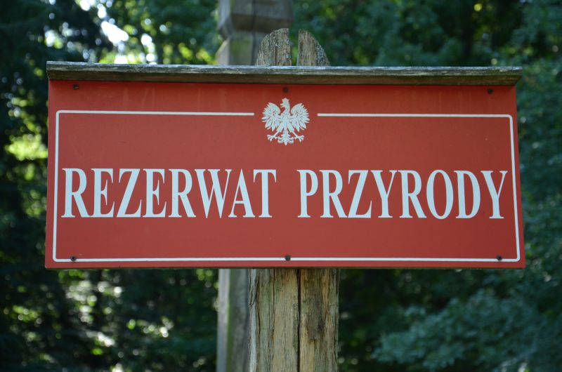 ochrona przyrody w Polsce rezerwat przyrody Hajnowka