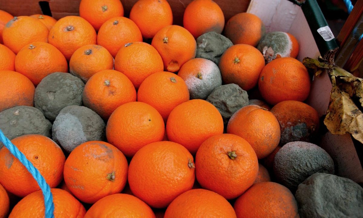 marnowanie jedzenia pomarańcze