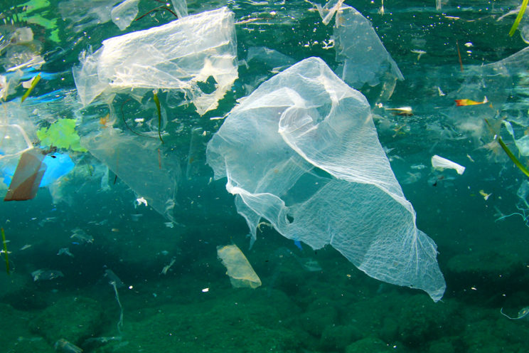 plastikowe torby w wodzie