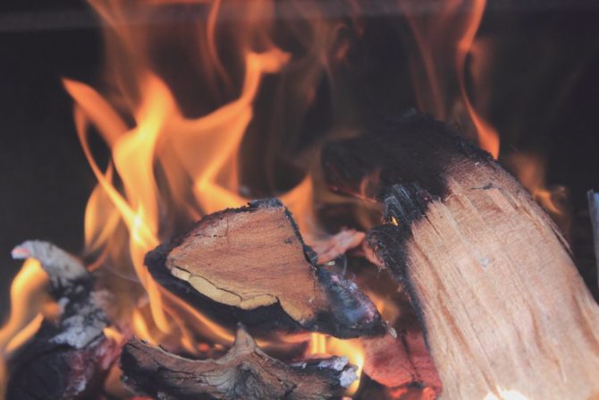 OZE w Polsce spalanie drewna biomasa