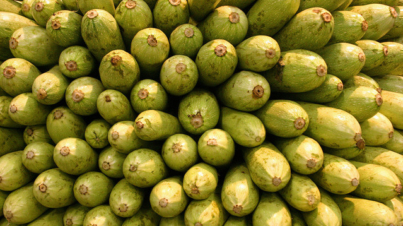 sklepy bez opakowań