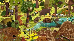 Ekologiczne prezenty - Emilia Dziubak "Rok w lesie"