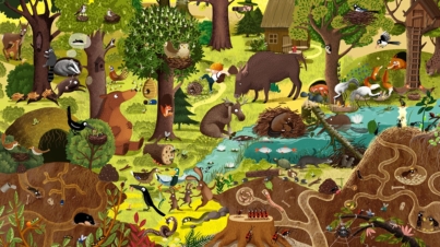 Ekologiczne prezenty - Emilia Dziubak "Rok w lesie"