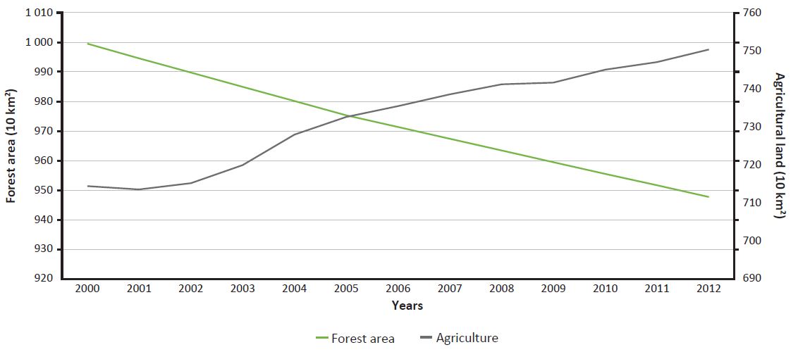 Zmiany środowiskowe - wylesianie a rolnictwo