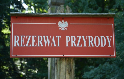 ochrona przyrody w Polsce rezerwat przyrody Hajnowka