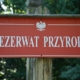 ochrona przyrody w Polsce rezerwat przyrody Hajnowka