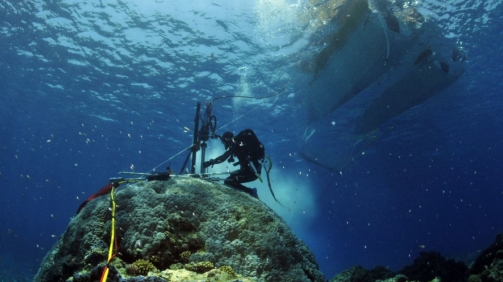 globalne ocieplenie pobieranie probek koralowcow