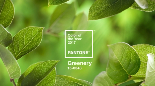 greenery-pantone-kolor-roku-2017
