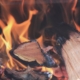 OZE w Polsce spalanie drewna biomasa