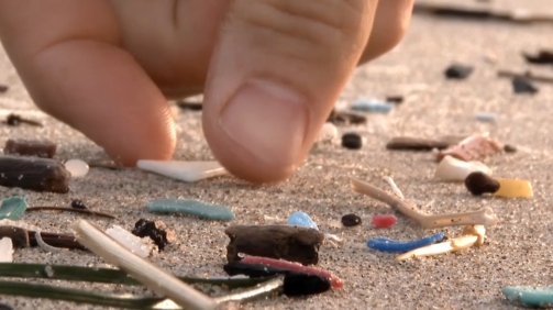 mikroplastik na plazy