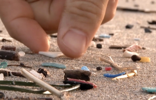 mikroplastik na plazy