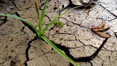 zagrozenia-dla-srodowiska