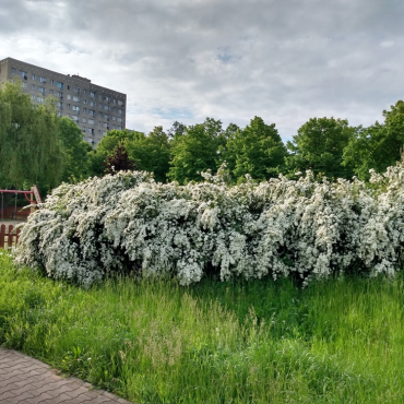 7-sposobow-jak-poprawic-bioroznorodnosc-w-miastach